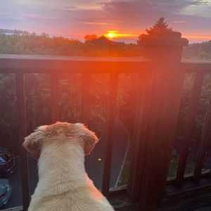 Meet your Posher, Benjamin